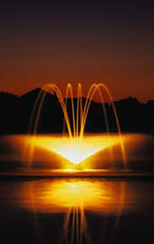  Lily Nozzle Floating Display Aerator 